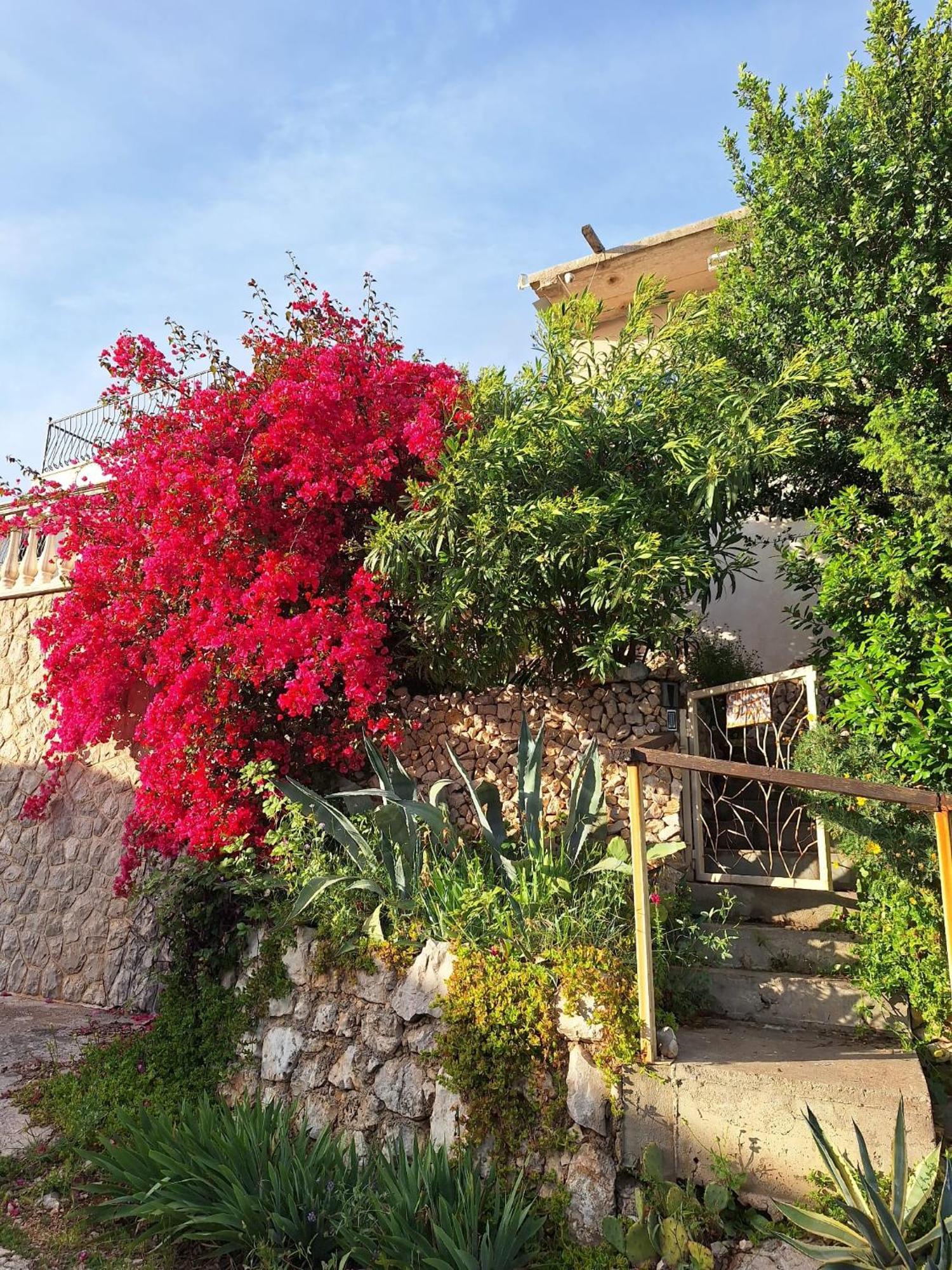 Sunnyday House Villa Masline Buitenkant foto